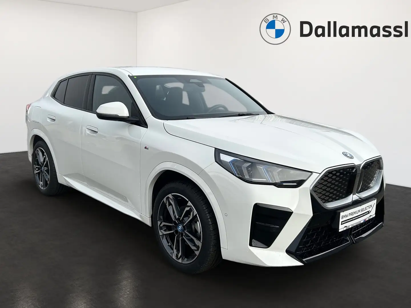BMW iX2 eDrive20 Weiß - 2