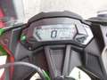 Kawasaki Ninja 125 -- Performance-- 1 Hand -- Wenig KM !!! Green - thumbnail 13
