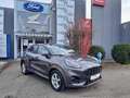 Ford Puma 1,0 EcoBoost Hybrid ST-Line X Aut. Grau - thumbnail 1
