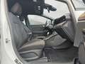 Ford Puma ST-Line 1.0 EB Hybrid 7G-Autom. nMod / Temp 92 ... Weiß - thumbnail 10