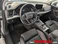 Audi Q5 2.0 TDI Quattro Grau - thumbnail 11