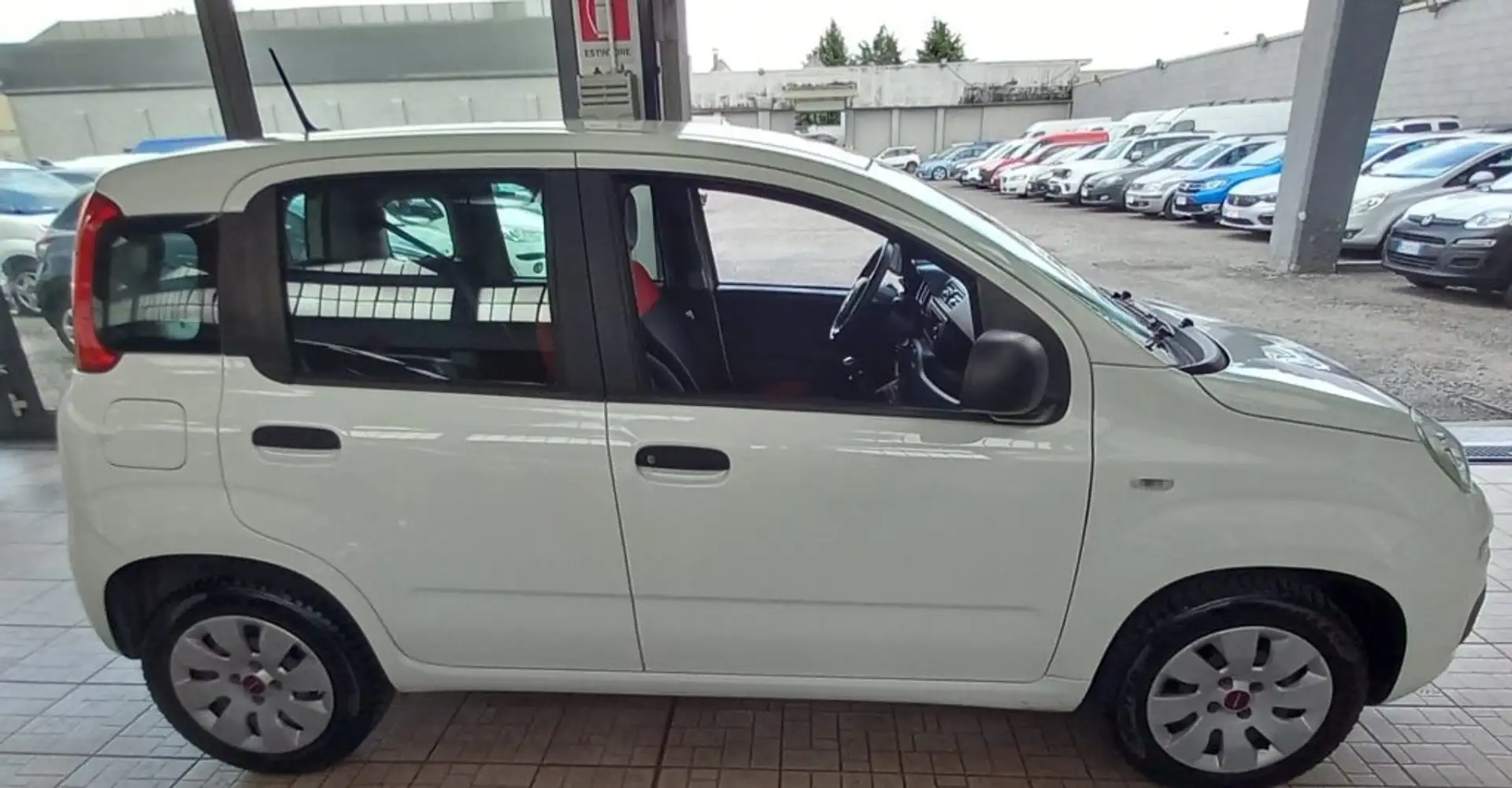 Fiat Panda 1.2 POP Bianco - 2