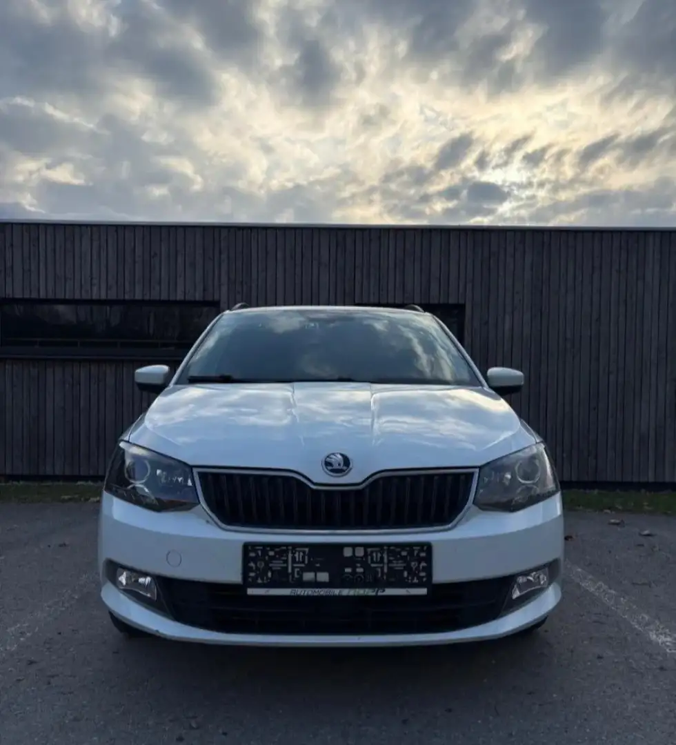 Skoda Fabia Combi Style 1,4 TDI - 2