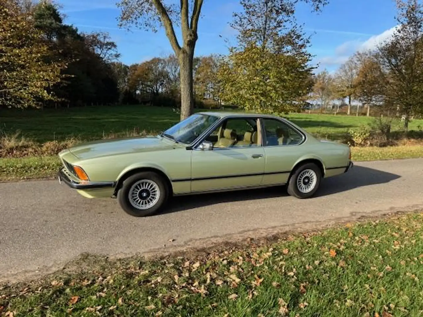 BMW 630 6-serie CS Karman / 1976 / 79.744km Verde - 2