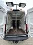 Iveco Daily 35C16V 2.3 410 L4H2 automaat Blanc - thumbnail 14