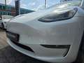 Tesla Model Y Performance Dual AWD Weiß - thumbnail 20