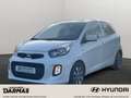 Kia Picanto Picanto Klima Allwetterr. Shzg. Aux/Bluetooth Weiß - thumbnail 1