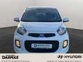 Kia Picanto Picanto Klima Allwetterr. Shzg. Aux/Bluetooth Weiß - thumbnail 3
