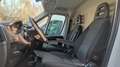 Fiat Ducato 2.3 MJT 130 CV SUPER ALTO PASSO LUNGO Bianco - thumbnail 13