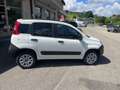 Fiat Panda 0.9 TwinAir Turbo S&S 4x4 Blanc - thumbnail 4