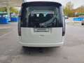 Hyundai STARIA 1.6 T-GDI HEV Trend Weiß - thumbnail 7