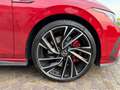 Volkswagen Golf GTI Golf VIII 2020 2.0 tsi 245cv dsg Rouge - thumbnail 6
