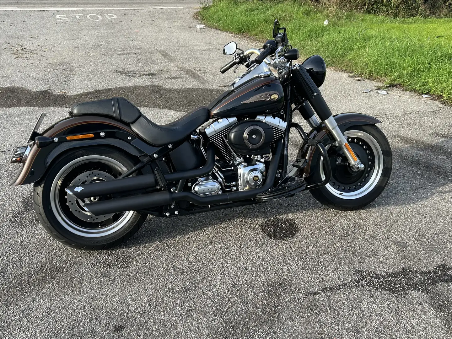 Harley-Davidson Fat Boy Special 110 Anniversario Lo - 1