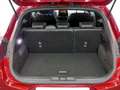 Ford Puma 1.0 ECOBOOST 114KW MHEV ST-LINE X 155 5P Rojo - thumbnail 8