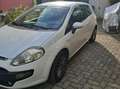 Fiat Punto Evo Weiß - thumbnail 4