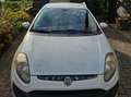 Fiat Punto Evo Weiß - thumbnail 3