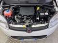 Fiat Panda Pandina 1.0 firefly hybrid s&s 70cv Blanco - thumbnail 15