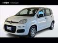 Fiat Panda Pandina 1.0 firefly hybrid s&s 70cv Blanco - thumbnail 1