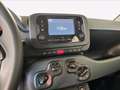 Fiat Panda Pandina 1.0 firefly hybrid s&s 70cv Blanco - thumbnail 6