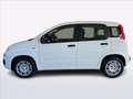 Fiat Panda Pandina 1.0 firefly hybrid s&s 70cv Blanco - thumbnail 3