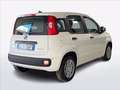 Fiat Panda Pandina 1.0 firefly hybrid s&s 70cv Blanco - thumbnail 2