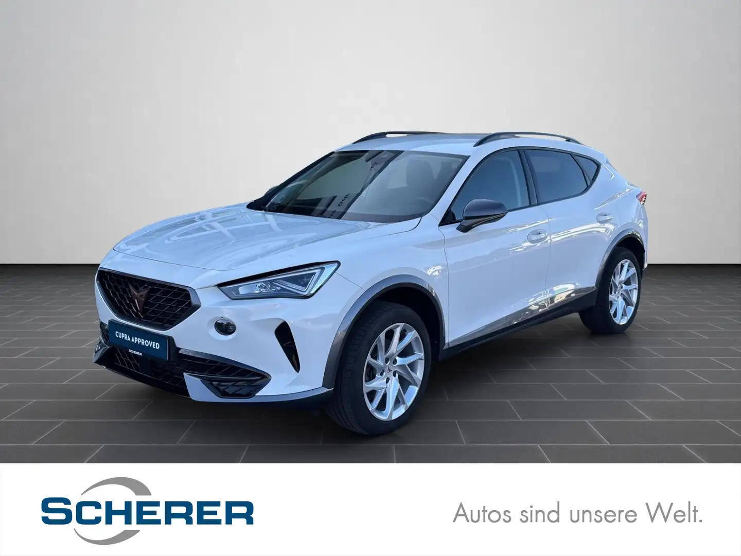 CUPRA Formentor 1.5 eTSI DSG LED NAVI PDC SHZ Weiß - 1