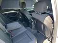 Audi Q5 S line 40 TDI qu S tr AHK/Nav/PBox/ACC/Assist Weiß - thumbnail 21