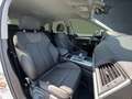Audi Q5 S line 40 TDI qu S tr AHK/Nav/PBox/ACC/Assist Weiß - thumbnail 19