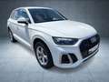 Audi Q5 S line 40 TDI qu S tr AHK/Nav/PBox/ACC/Assist Weiß - thumbnail 29