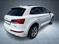 Audi Q5 S line 40 TDI qu S tr AHK/Nav/PBox/ACC/Assist Weiß - thumbnail 30