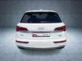 Audi Q5 S line 40 TDI qu S tr AHK/Nav/PBox/ACC/Assist Weiß - thumbnail 7