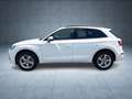 Audi Q5 S line 40 TDI qu S tr AHK/Nav/PBox/ACC/Assist Weiß - thumbnail 5