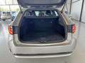 Toyota Corolla Touring Sports 1.8 Hybrid 90kW Active|Camera|Apple Grau - thumbnail 25