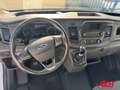 Ford Transit Kasten L3H2 neuer original Ford AT-Motor Weiß - thumbnail 13