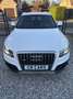 Audi Q5 2.0 TDi Allroad Quattro Blanc - thumbnail 3