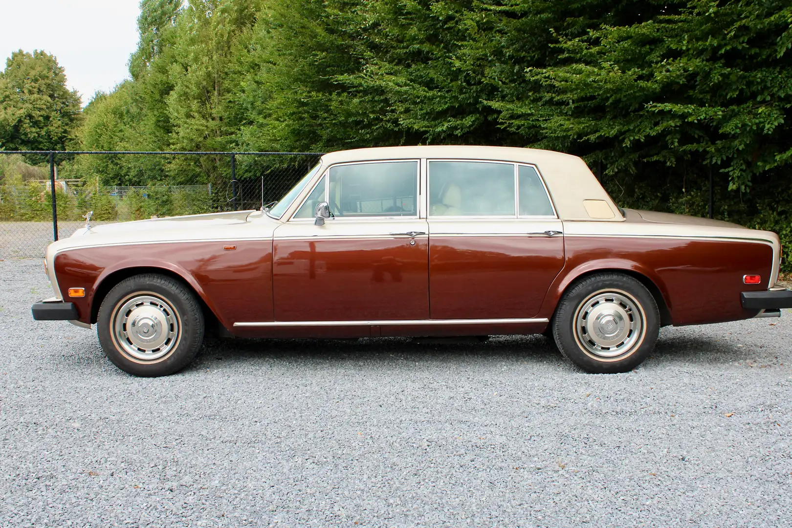 Rolls-Royce Silver Shadow Silver Shadow Serie II Marrón - 2