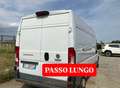 Fiat Ducato 2.3mjt 150cv L3H2 FURGONE Bílá - thumbnail 4
