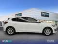 Ford Focus 1.5 Ecoblue 88kW Auto Trend+ Blanco - thumbnail 4