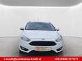 Ford Focus Trend, Winterpaket,  WR, Style Paket! Weiß - thumbnail 7