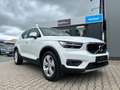 Volvo XC40 0 D3 2WD D3 2WD EU6d-T Momentum Pro *NAVI-LED-SHZ- Bianco - thumbnail 2