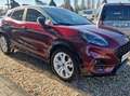 Ford Puma Vivid Ruby Edition Roşu - thumbnail 2