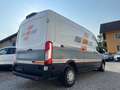Ford Transit Kasten 2.0 EcoBlue Weiß - thumbnail 6