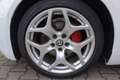 Alfa Romeo Giulia Super *Veloce-Paket/RFK/ PDCvo.+hi./Sound Theatre* White - thumbnail 7