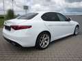 Alfa Romeo Giulia Super *Veloce-Paket/RFK/ PDCvo.+hi./Sound Theatre* White - thumbnail 3