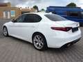 Alfa Romeo Giulia Super *Veloce-Paket/RFK/ PDCvo.+hi./Sound Theatre* White - thumbnail 4