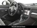 Porsche 991 911 Carrera 4S / Sportabgasanlage Park Distance Co Braun - thumbnail 12