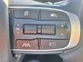 Kia Sportage 1.6 T-GDi MHEV 110kW (150CV) Drive 4x2 Blanco - thumbnail 15