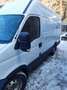 Iveco Daily 29 L 14 C 3000L HD 2,3 HPT DPF - thumbnail 3