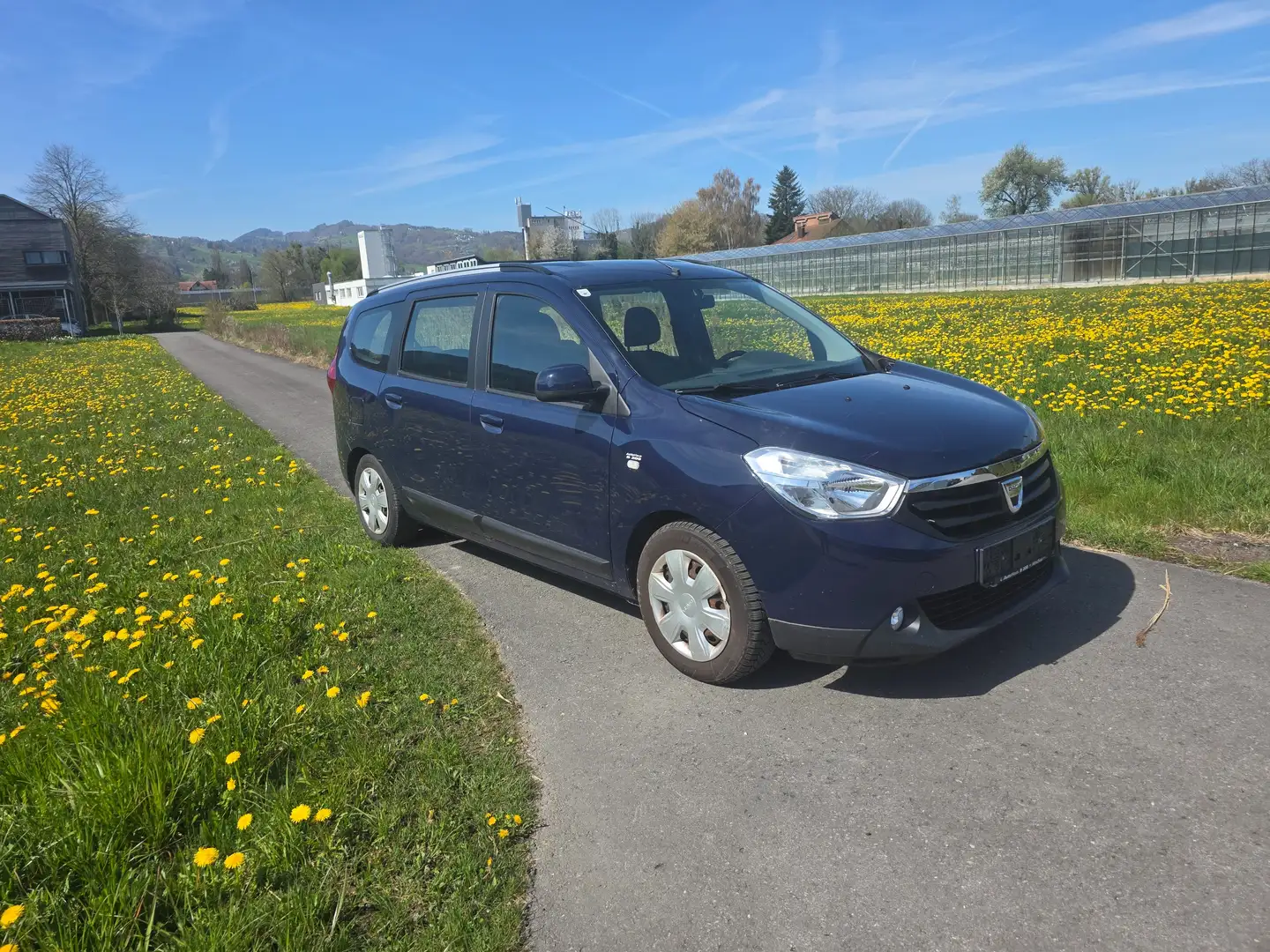 Dacia Lodgy keine Pickel - 1