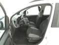Fiat Panda Hybrid City Life 1.0 Mild Hybrid 70CV Bianco - thumbnail 10